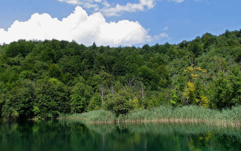 erdő horvátország plitvicei tavak világörökség