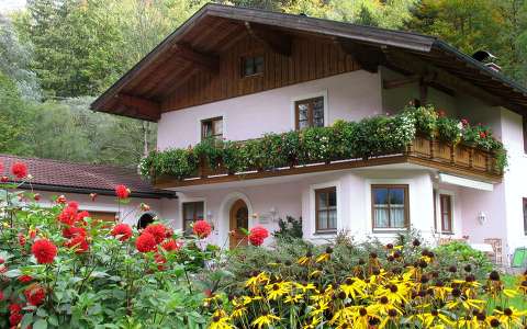 ausztria dália ház kúpvirág