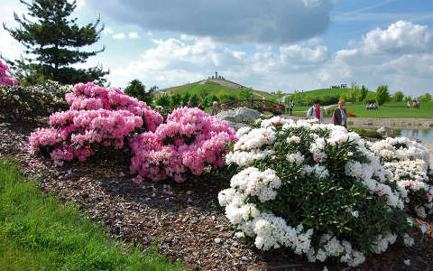 címlapfotó kertek és parkok rododendron tavasz