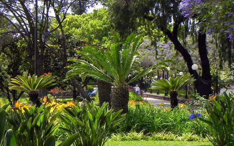 Szent Katalin Park Funchalban, Madeira