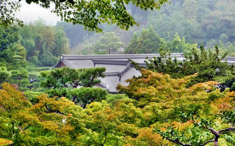 Ősz, Ginkakuji templom, Kiotó, Japán