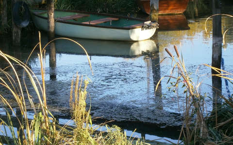 bambusz csónak tükröződés
