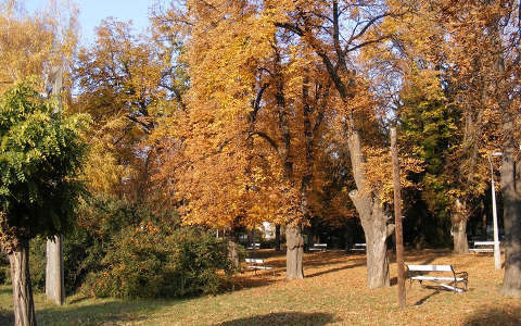 fa kertek és parkok pad ősz