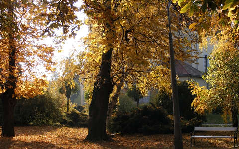 fa kertek és parkok pad ősz