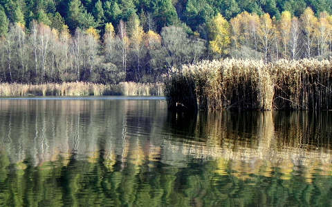Herman Ottó tó, Orfű