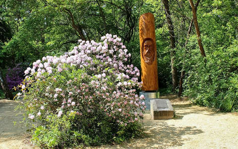 Magyarország, Kám, Jeli arborétum, rododendron, a kertalapító Ambrózy-Migazzi István szobra