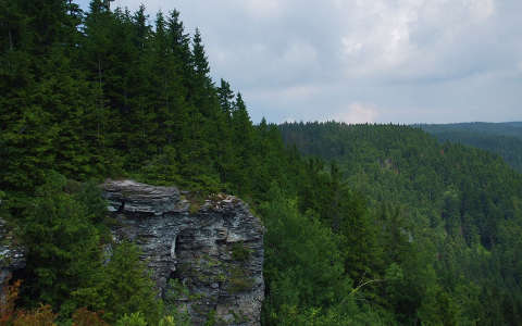 erdély erdő kárpátok kövek és sziklák