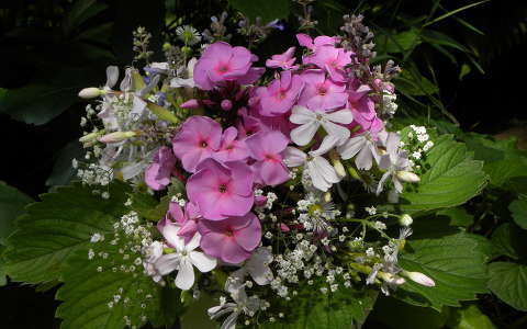 nyári virág névnap és születésnap virágcsokor és dekoráció