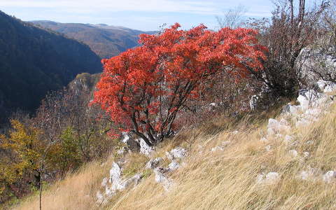 Karas völgy -ősszel