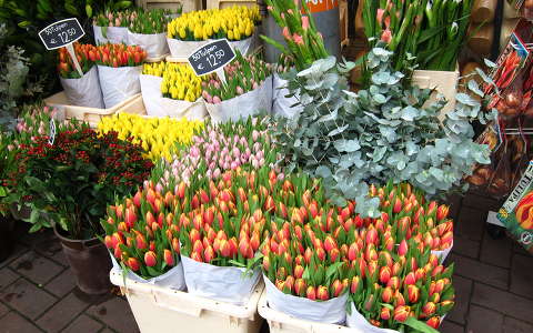 Amsterdam, Flowermarket at the Singel