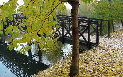 fa híd tükröződés ősz