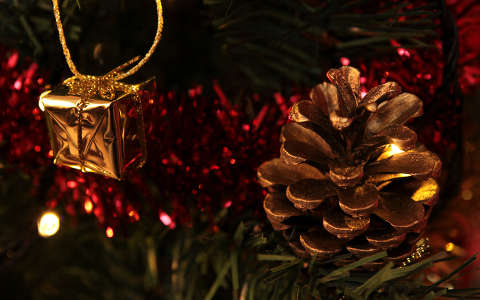 karácsonyi dekoráció toboz