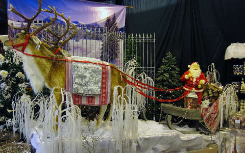 Haarlem-Holland, Christmas Decorations Show