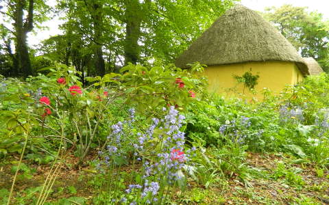 ház kertek és parkok írország