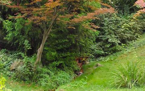 Japánkert (őszi színekben)