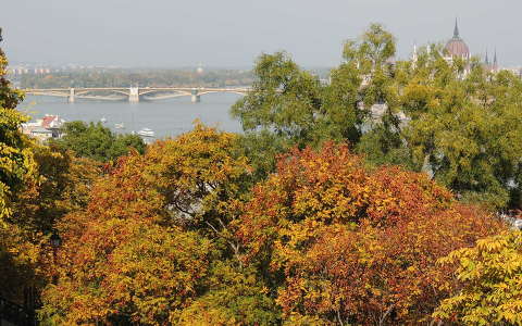 Őszi színek Budapesten a Margit híddal