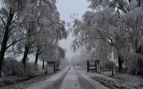 címlapfotó fa kapu tél