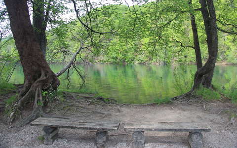 horvátország pad plitvicei tavak tavasz