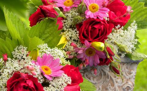 címlapfotó nyári virág virágcsokor és dekoráció