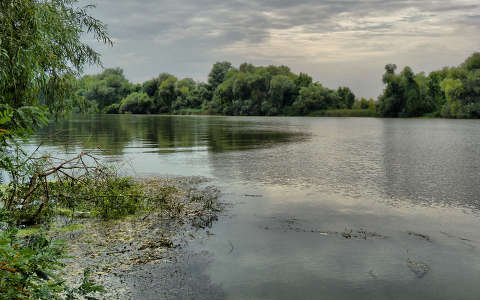 Élő Tisza a tisza-tónál.