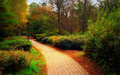 kertek és parkok út ősz