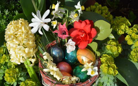 húsvét jácint tojás