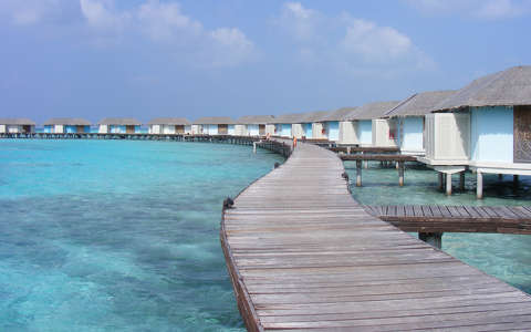 Maldív