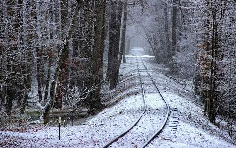 erdő magyarország sínpár tél
