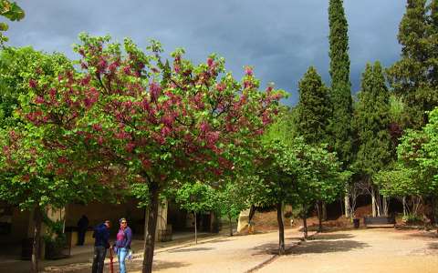 GRANADA-SPAIN, next to Alhambra