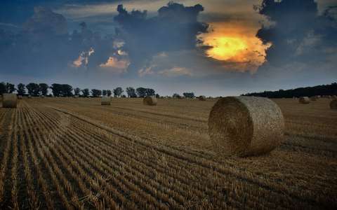 címlapfotó felhő fény gabonaföld