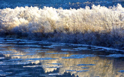 fa folyó tél tükröződés