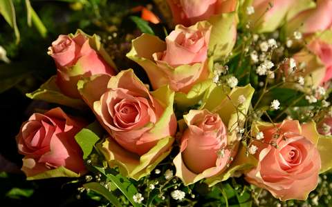 címlapfotó rózsa virágcsokor és dekoráció