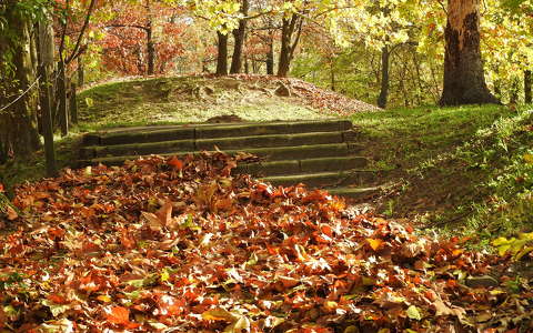 címlapfotó levél lépcső ősz