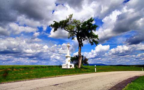 fa felhő szobor út