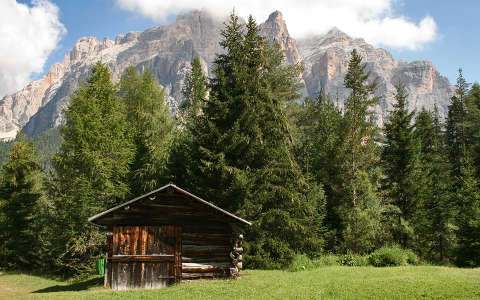 Fagunyho az Olasz Alpokban.