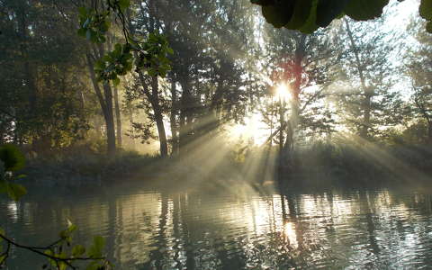 címlapfotó fény tavasz tó