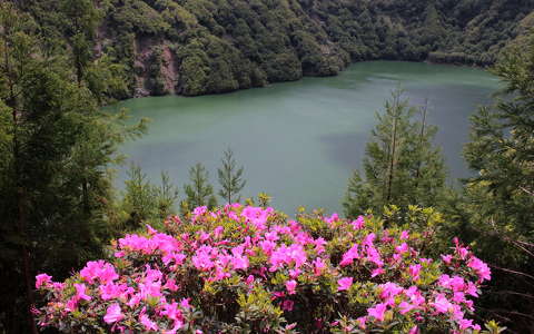 azori-szigetek portugália rododendron tó