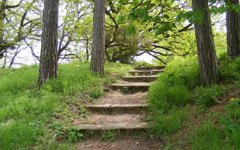 fa lépcső út
