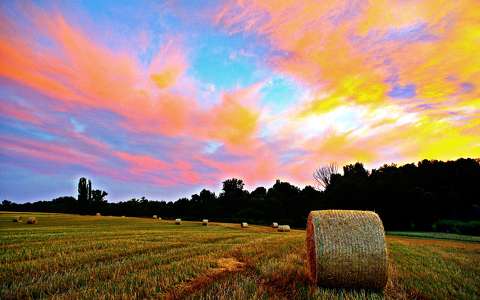 felhő gabonaföld naplemente nyár