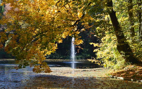 címlapfotó fa szökőkút ősz