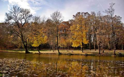 fa folyó ősz