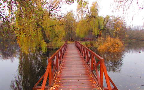 híd tükröződés út ősz