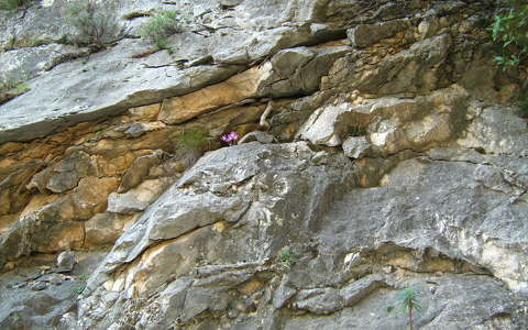 kövek és sziklák