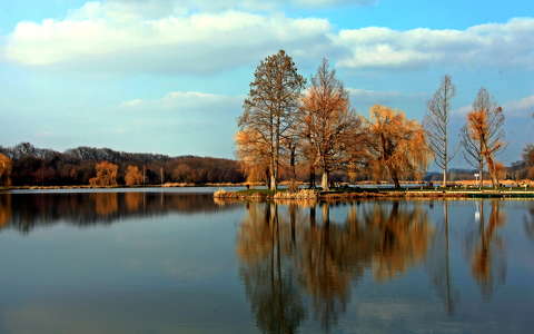 címlapfotó fa tó tükröződés