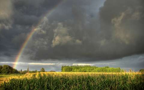 felhő gabonaföld kukoricaföld magyarország