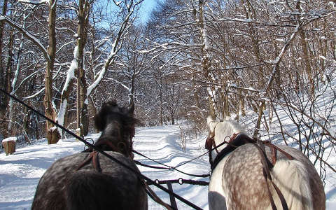 Szalajkavölgyben  lovaszánkóval 2010 február