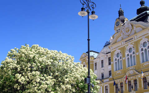 Pécs, májusi pompa a városháza előtt
