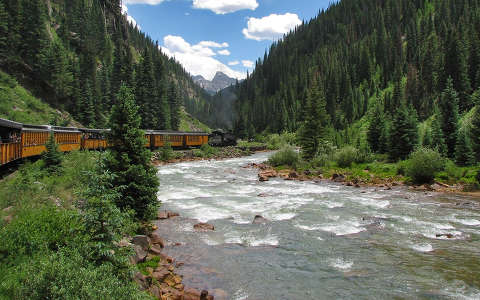 erdő folyó vonat