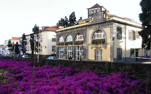 Funchal virágfolyó, Madeira