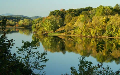 erdő folyó tükröződés ősz